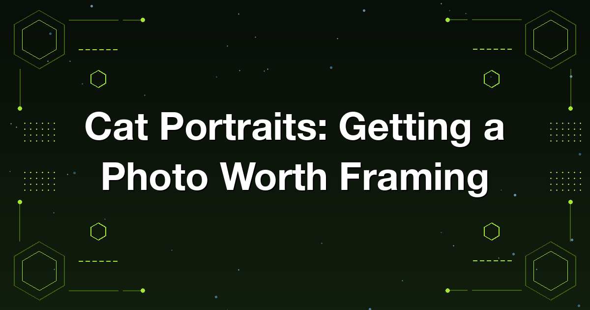 How to photograph a cat well enough to turn the photo into a portrait